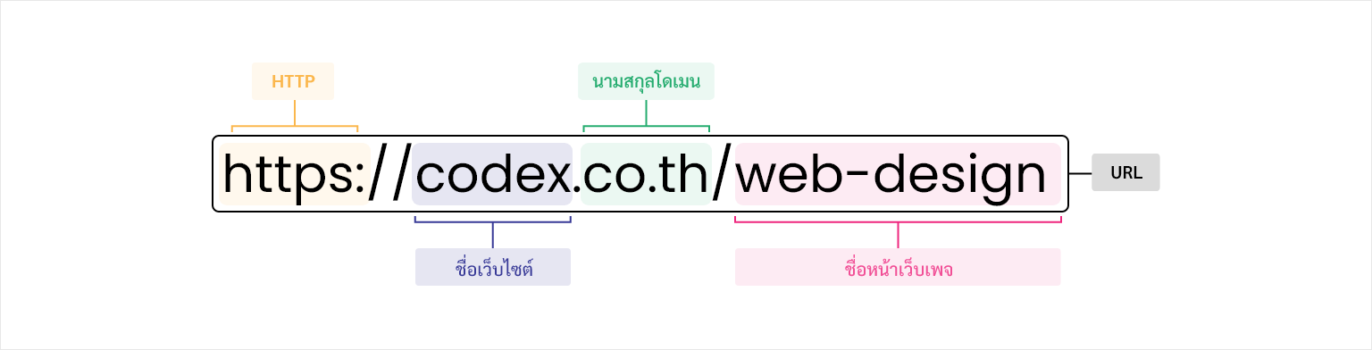 Codex - เตรียมพร้อมทำเว็บไซต์ คำศัพท์ที่ควรรู้ก่อนเป็นเจ้าของ เว็บไซต์